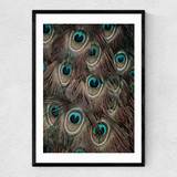 Peacock Feathers Narrow Black Frame