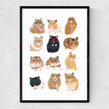 Hamsters in Glasses