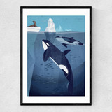 Orcas by Dieter Braun Narrow Black Frame