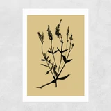 Mono Botanical 7 Unframed Print