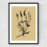 Mono Botanical 7