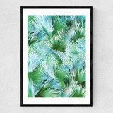 Palm Dreamer