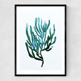 Seaweed by Dan Hobday