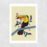 Toucan 2 by Dieter Braun Unframed Print