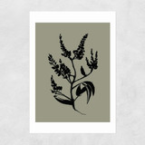 Mono Botanical 5 Unframed Print