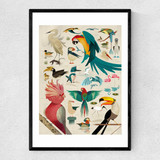 Birds by Dieter Braun