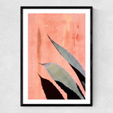 Peach Cactus