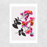 Myrtle 4 Unframed Print