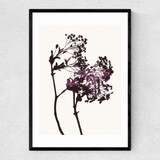 Red Maple Narrow Black Frame