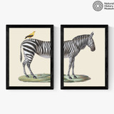 Zebra Diptych Narrow Black Frame