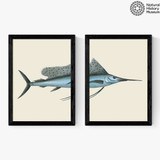 Swordfish Diptych Narrow Black Frame