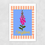 Foxglove Unframed Print