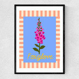 Foxglove