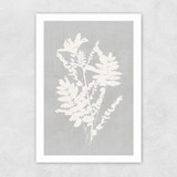 Botanical Illustration V Unframed Print
