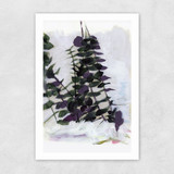Eucalyptus Painting II Unframed Print