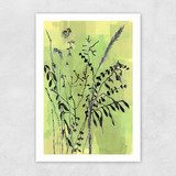 Folklore Arrangement Unframed Print