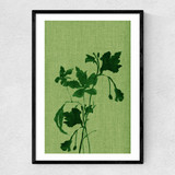 Terre Verte I Narrow Black Frame