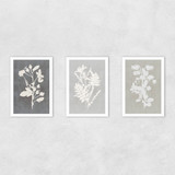 Botanical Illustration Triptych Unframed Print