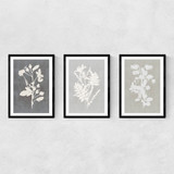 Botanical Illustration Triptych Narrow Black Frame