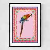 Birdframe Macaw Narrow Black Frame