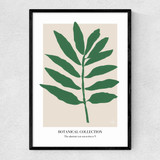 Botanical Collection I (Green) Narrow Black Frame
