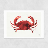 Crabs Tale Unframed Print