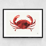 Crabs Tale Narrow Black Frame