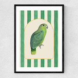 Stripey Green Parrot Narrow Black Frame