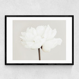 White Bloom Serenity Narrow Black Frame