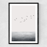 The Ocean