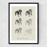Bulldog II Narrow Black Frame