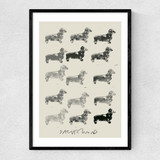 Doxie II Narrow Black Frame