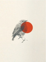 Red Dot Robin - Limited Edition Print