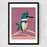 Kingfisher by Dieter Braun Medium Black Frame