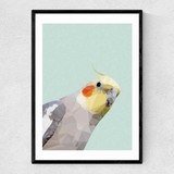 Cockatiel Narrow Black Frame