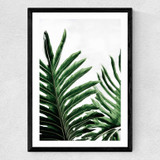 Leaves 1 Medium Black Frame