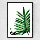 Leaves 3 Narrow Black Frame