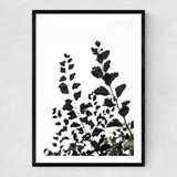 Leaves 4 Narrow Black Frame