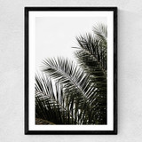 Palm Leaves 3 Medium Black Frame