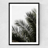Palm Leaves 3 Narrow Black Frame