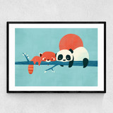 Panda and Racoon Narrow Black Frame