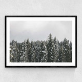 Snow Trees Narrow Black Frame