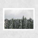 Snow Trees Unframed Print