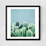 Cactus and Teal  Medium Black Frame