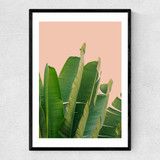 Banana Leaves Narrow Black Frame