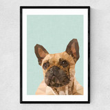 Frenchie 2 Narrow Black Frame