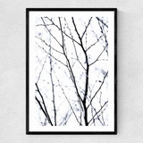 Winter Silhouettes 2 Narrow Black Frame