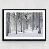 Winter Trees 2 Medium Black Frame
