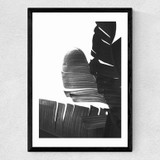 Banana Leaves BW Medium Black Frame