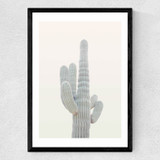 Desert Cactus by Rafael Farias Medium Black Frame